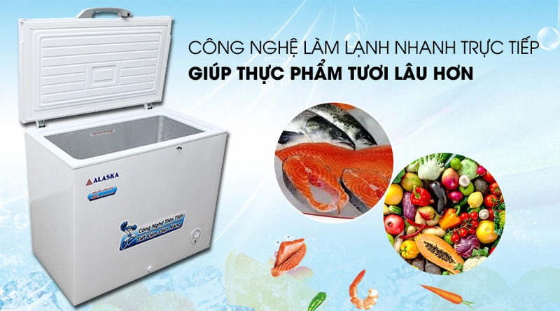 tủ đông 1 cánh làm lạnh trực tiếp BD 300