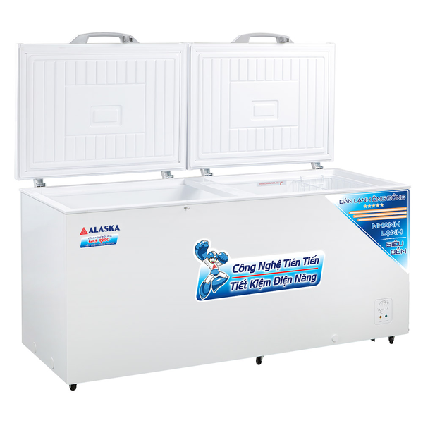 Tủ Đông Alaska HB-1200C, 1200 Lít Dàn Lạnh Đồng
