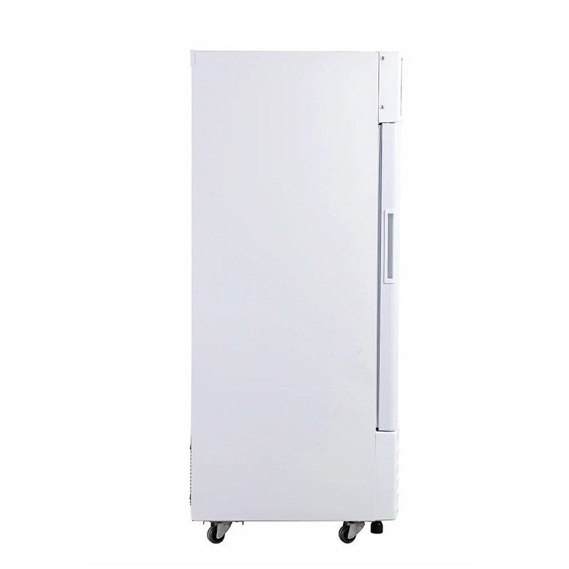 Tủ Mát Alaska 205 Lít LC-233H - 1 Cánh Trưng Bày Tạp Hóa