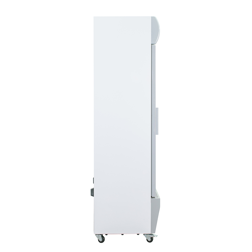 Tủ Mát Alaska 525 Lít LC-525C - Cỡ Đại Siêu Thị, Mẫu Mới 2026