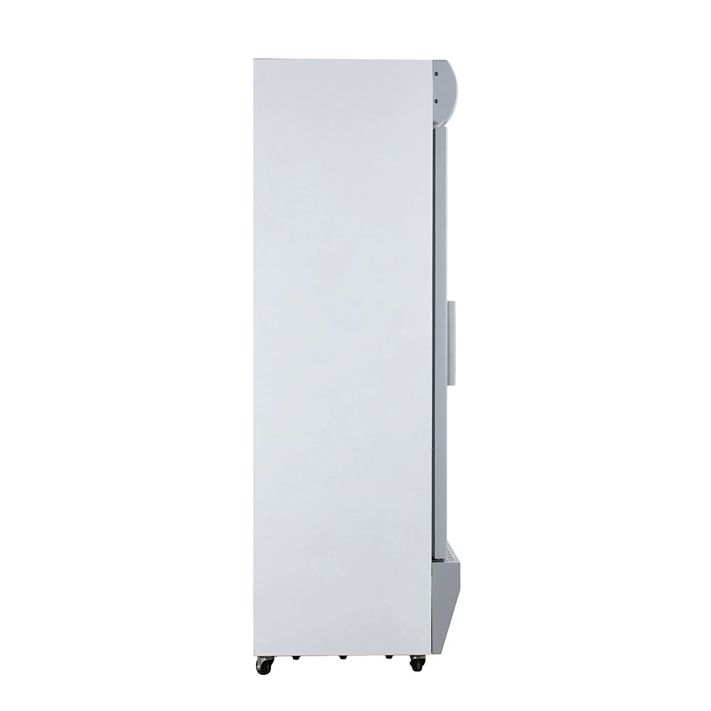 Tủ Mát Alaska 385 Lít LC-385 - Mẫu Mới 2026, Đỉnh Cao Trưng Bày 1 Cánh